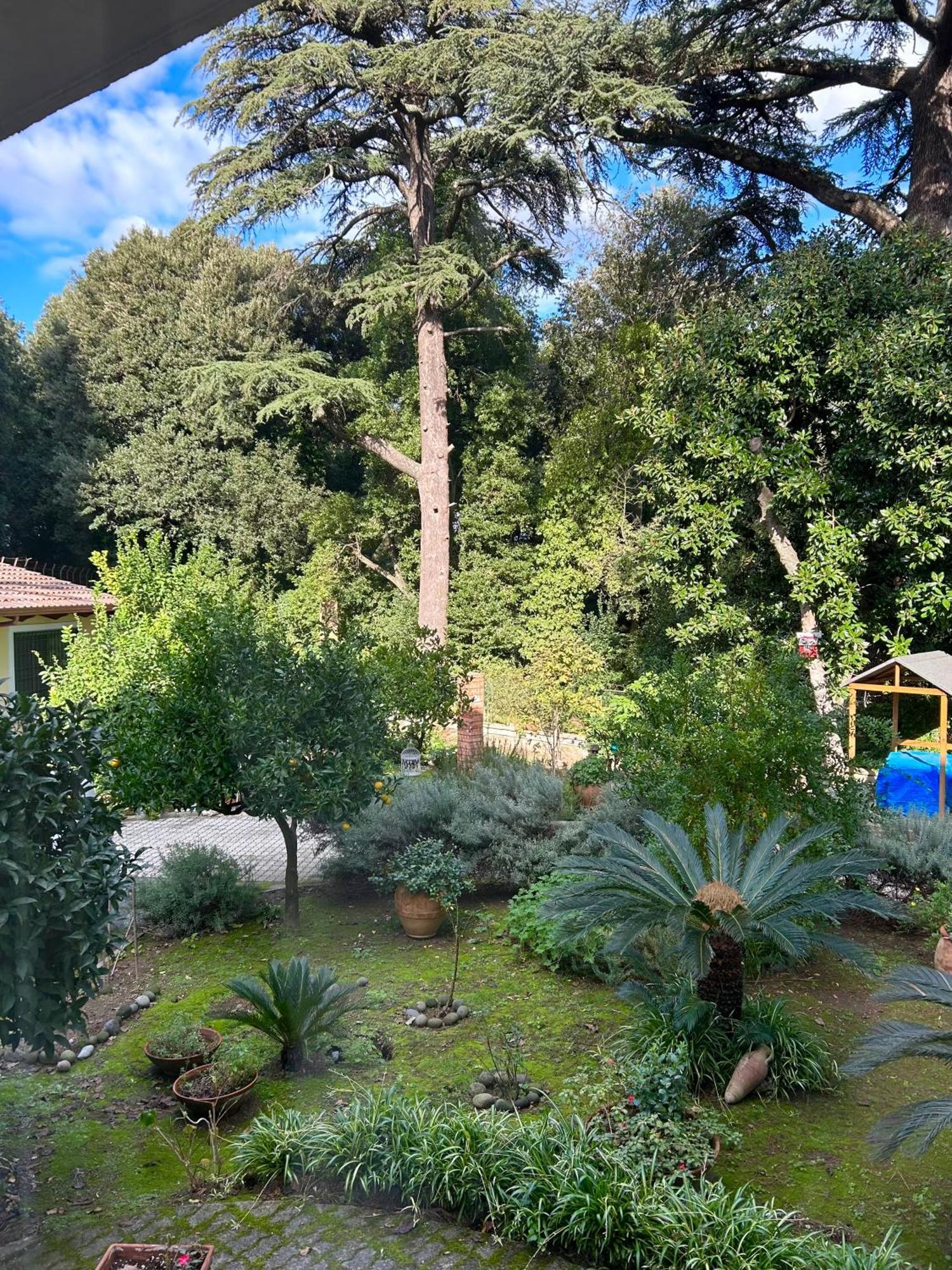 Casa Iaia Lägenhet Neapel Exteriör bild